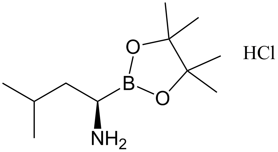 Bortezomib Impurity 41